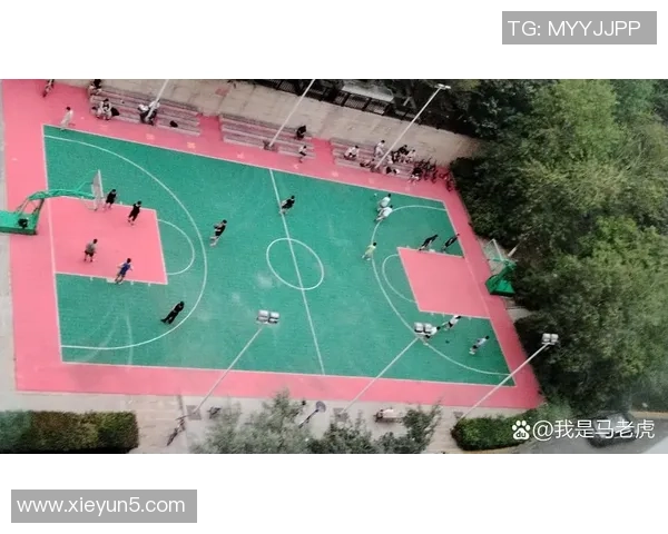 在篮球场边目睹他人化妆的奇妙瞬间与青春气息交织的故事 在篮球场边目睹他人化妆的奇妙瞬间与青春气息交织的故事