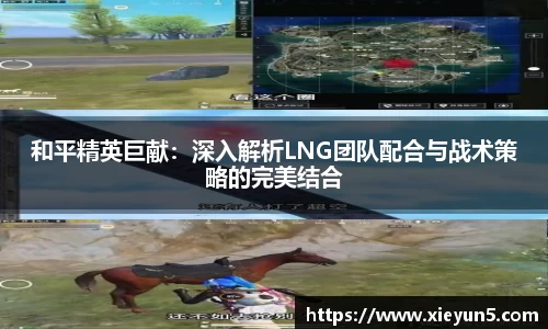 BV伟德官方网站